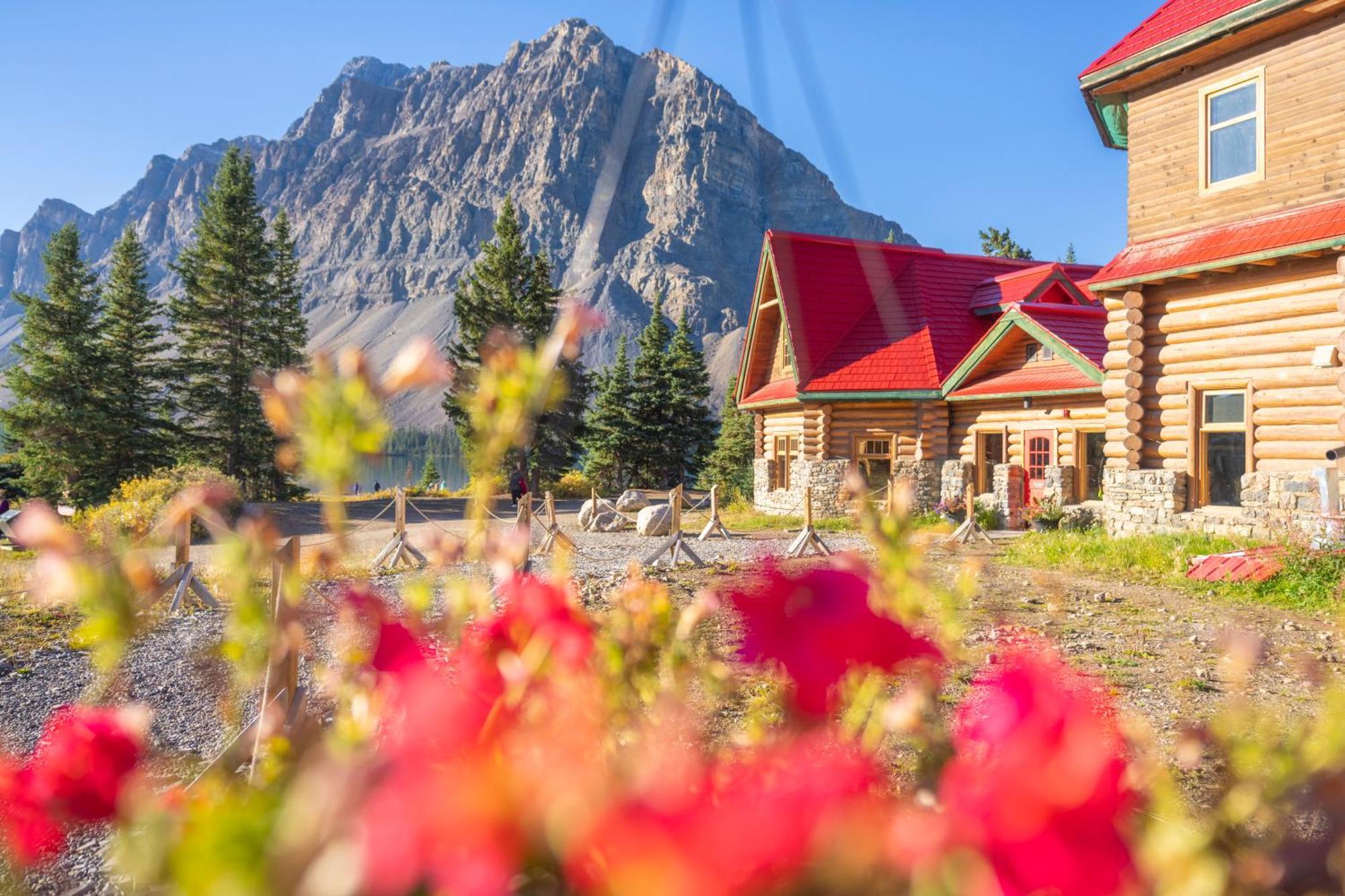 The Lodge At Bow Lake Lake Louise Dış mekan fotoğraf