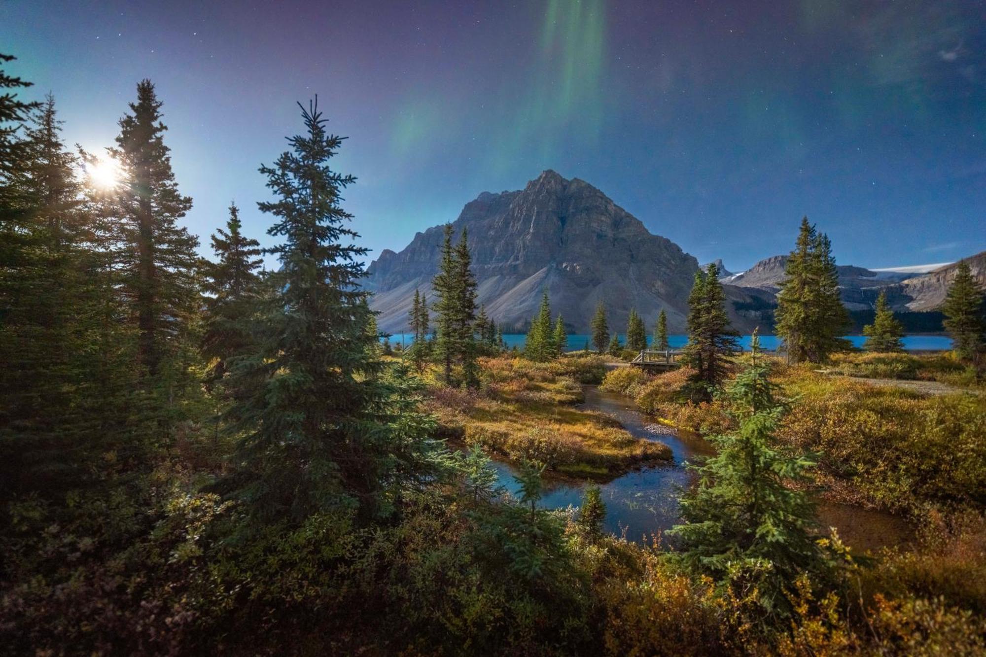 The Lodge At Bow Lake Lake Louise Dış mekan fotoğraf